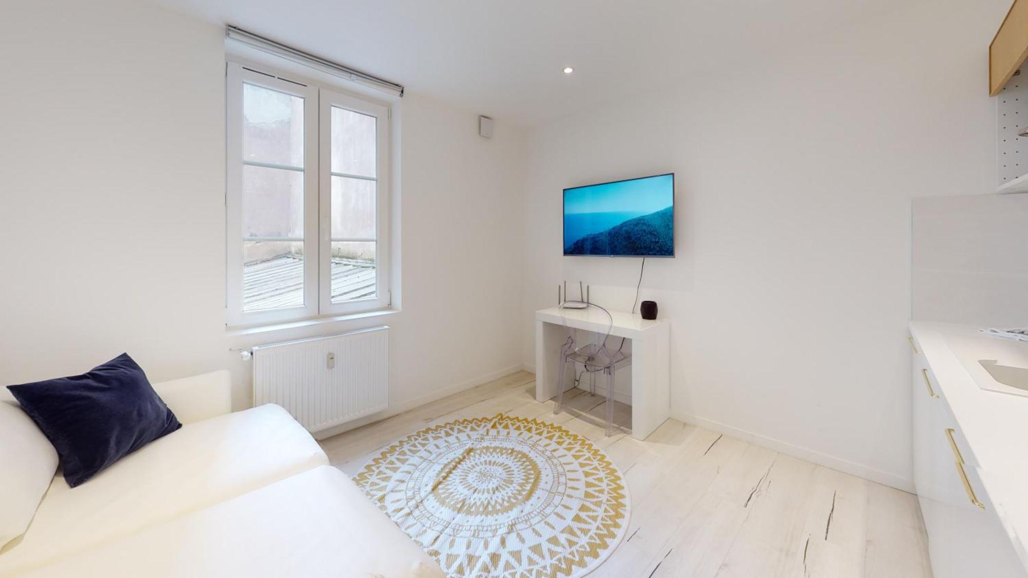 Appartements Modernes Avec Veranda Страсбург Экстерьер фото